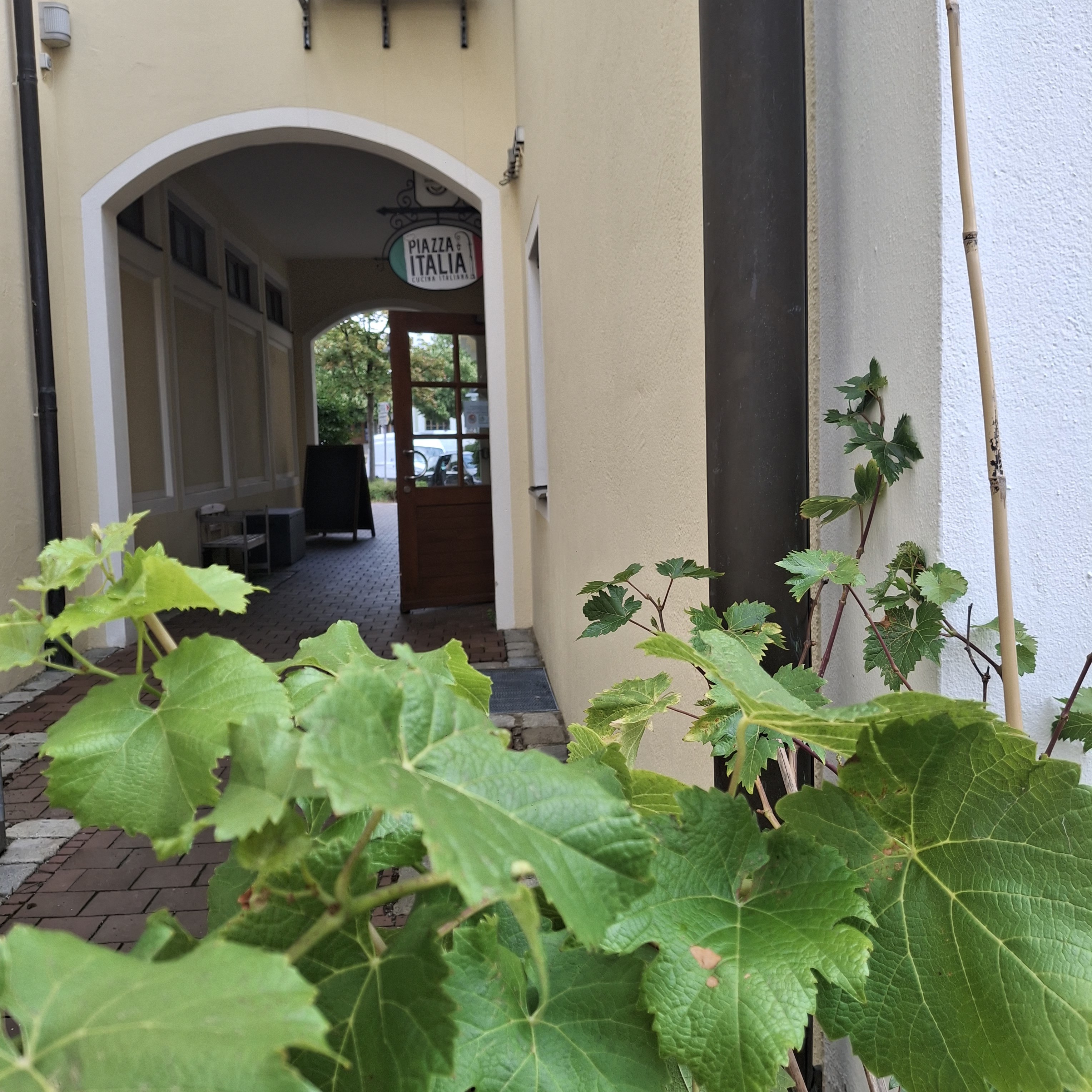 Eingang Piazza Italia mit Weinreben